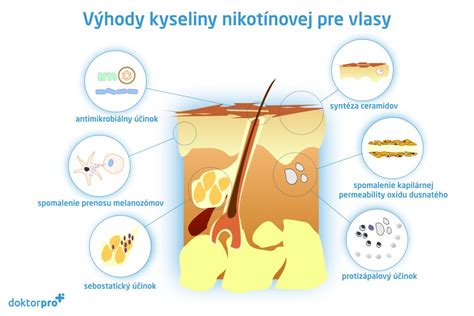 Výhody chmeľu a pivného droždia pre vlasy