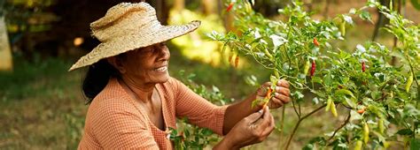 Historické zobrazenia vrkočov v rôznych kultúrach