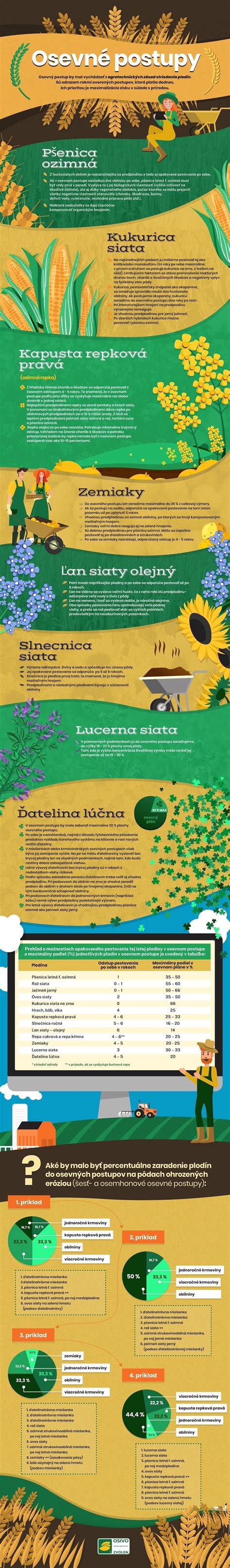 Infografika znázorňujúca správny postup mokrého holenia