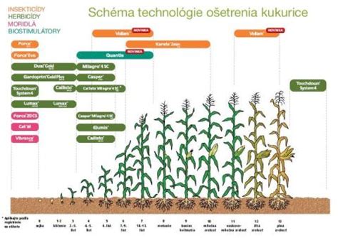 Schéma technológie SkinIQ a pohybu holiacich hláv