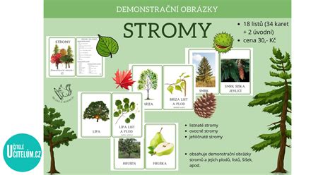 Obrázok: Základné typy rezacích nástrojov pre ovocné stromy