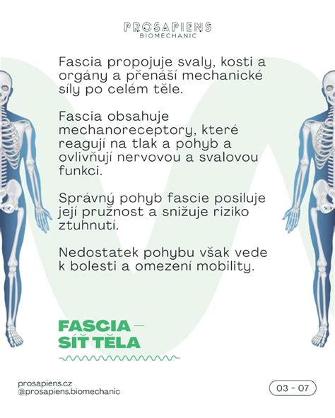 Infolgrafika zobrazujúca správny smer pohybu strojčeka po tvári