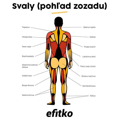 Muž podstupujúci laserovú epiláciu chrbta
