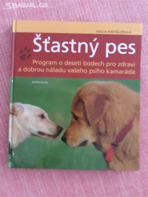 Šťastný a čistý pes po kúpeli
