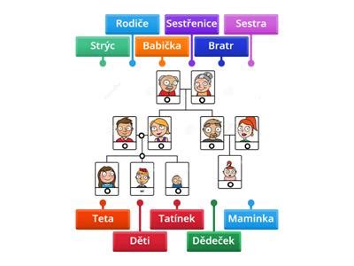 Schéma dedičnosti génov v rodine