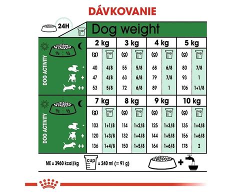 Hodnotenie a recenzie šampónov pre psov