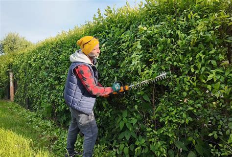 Typy nožníc na živý plot