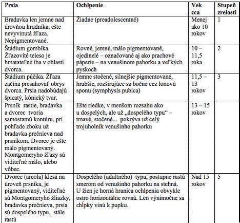 Schéma štádií vývoja pubického ochlpenia podľa Tannerovej stupnice
