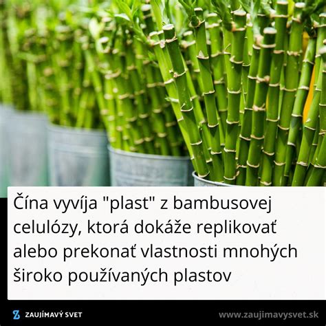 Bambusové stonky a slnečnicové polia
