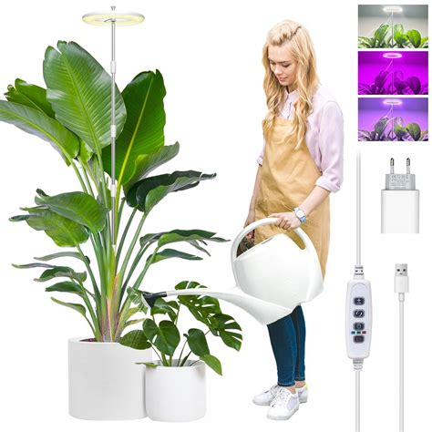 pestovanie a spracovanie rastliny henna