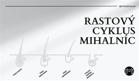 infografika znázorňujúca rastový cyklus vlasu a príčiny vypadávania