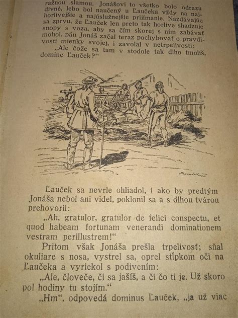 kniha Plemeno Kainovo od Jána Wiktora