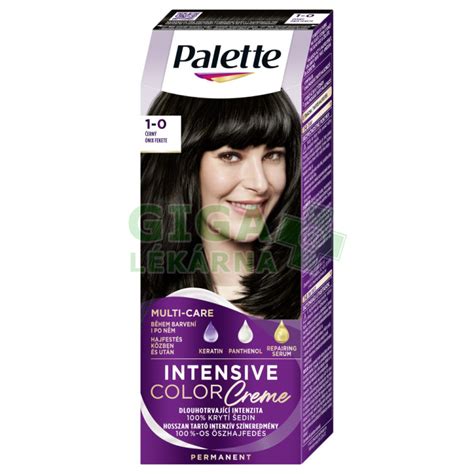 Výsledok farbenia Palette Intensive Color Creme N1 Čierna
