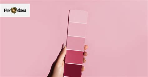 paleta odtieňov ružovej farby od pastelových po sýte