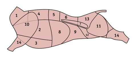 Schematické znázornenie delenia vlasov