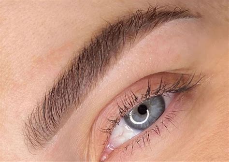 Ilustrácia svrbiaceho obočia s lupinami.