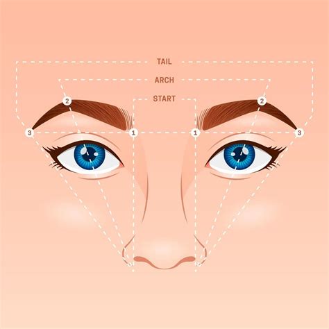 Náčrt ideálneho tvaru obočia podľa ceruzky a nosa