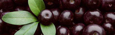 Bobule acai a ich účinky na vlasy