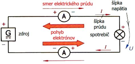 Schéma znázorňujúca smer rastu chĺpkov a správny smer holenia