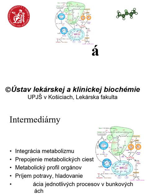 Schéma: Metabolizmus kreatínu a kreatinínu v tele