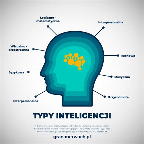 Infografika: Typy tvárí a odporúčané účesy