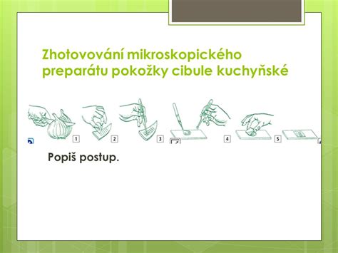 Schéma zobrazujúca postup testu citlivosti pokožky pred aplikáciou depilačného krému.