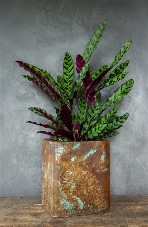 Detailný záber na tradičný ornament maľovaný prírodnou henou na ruke